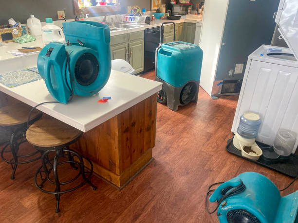 Best 24/7 water damage repair  in Tularosa, NM