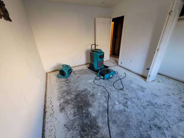 Best Commercial water damage restoration  in Tularosa, NM