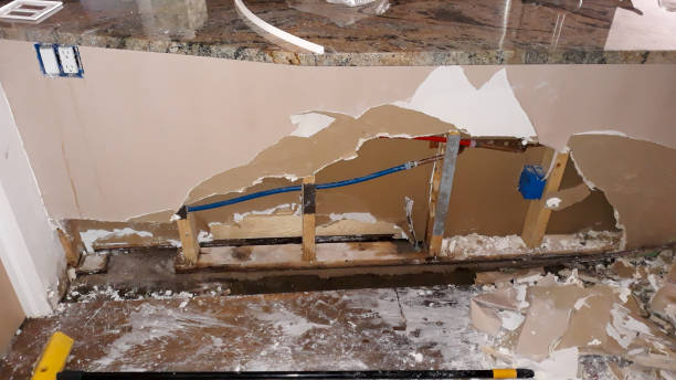 Best Mold removal after water damage  in Tularosa, NM