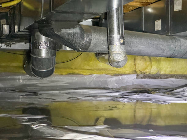 Best Basement water damage restoration  in Tularosa, NM