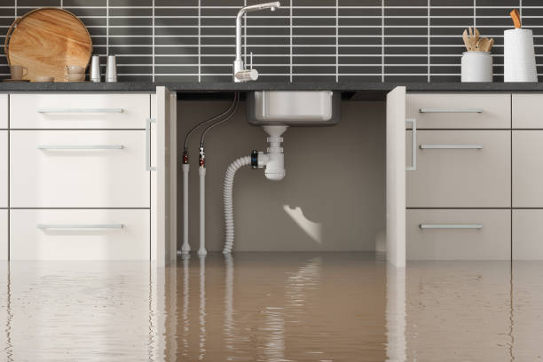 Best Flood damage cleanup  in Tularosa, NM